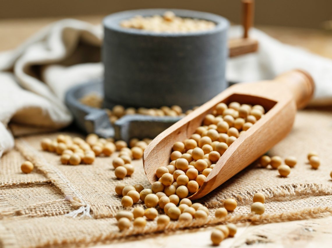 Soy Protein May Protect Against Heart Failure by Supporting Gut Health