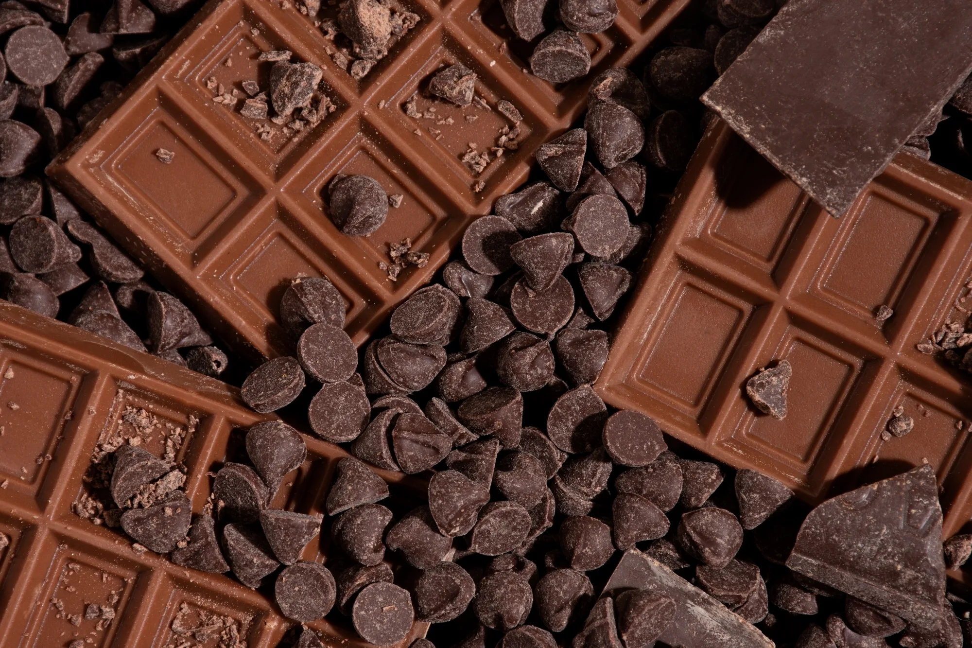 Boosting Chocolate’s Health Benefits with Probiotics and Prebiotic