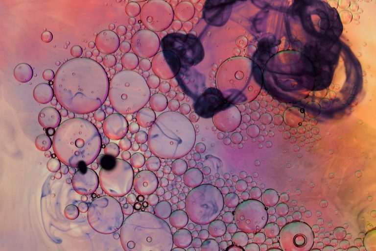 Senolytics and Mitochondria: Tackling the Twin Pillars of Aging