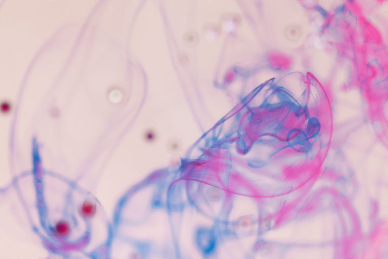 Microbiome and metabolism: how gut flora affects hunger hormones