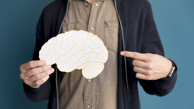 Neuroplasticity: How the brain changes after 30