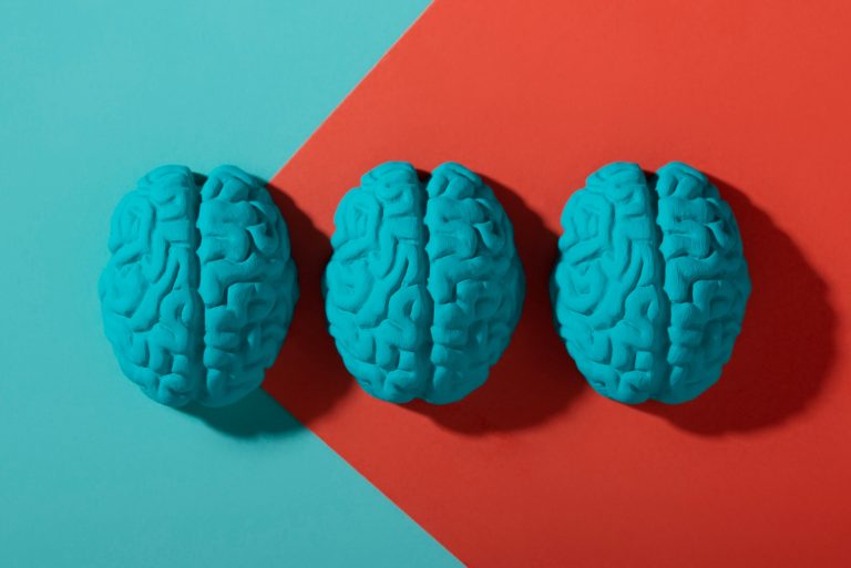 Gut-brain axis: how the gut influences the mind