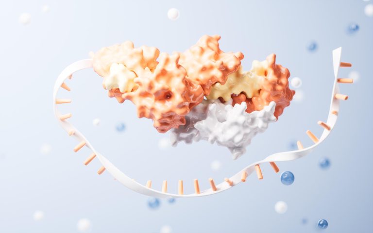 Mitochondrial health: The missing key to energy and longevity