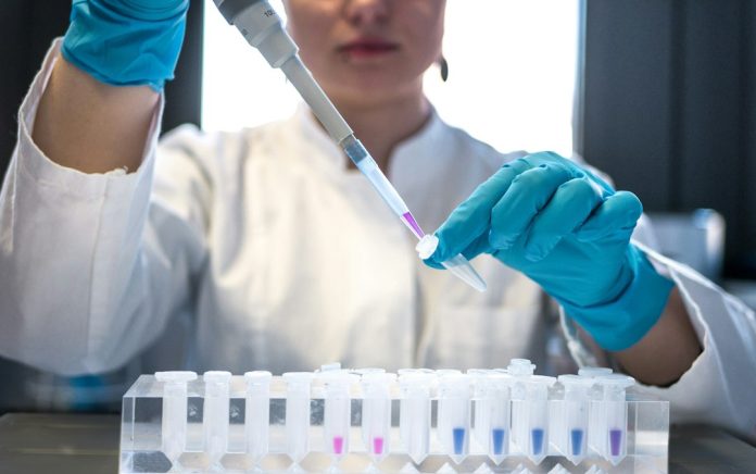 Scientist using a pipette in a public health laboratory
