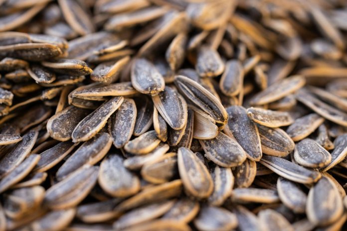 Sunflower seeds, a food source of vitamin E