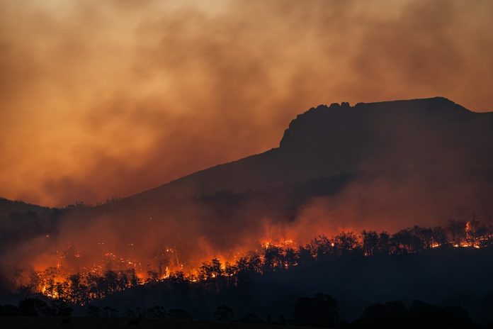 Wildfire smoke over a landscape — photo by Matt Palmer on Unsplash